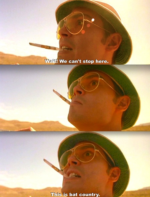 Fear And Loathing Quotes Bats. QuotesGram