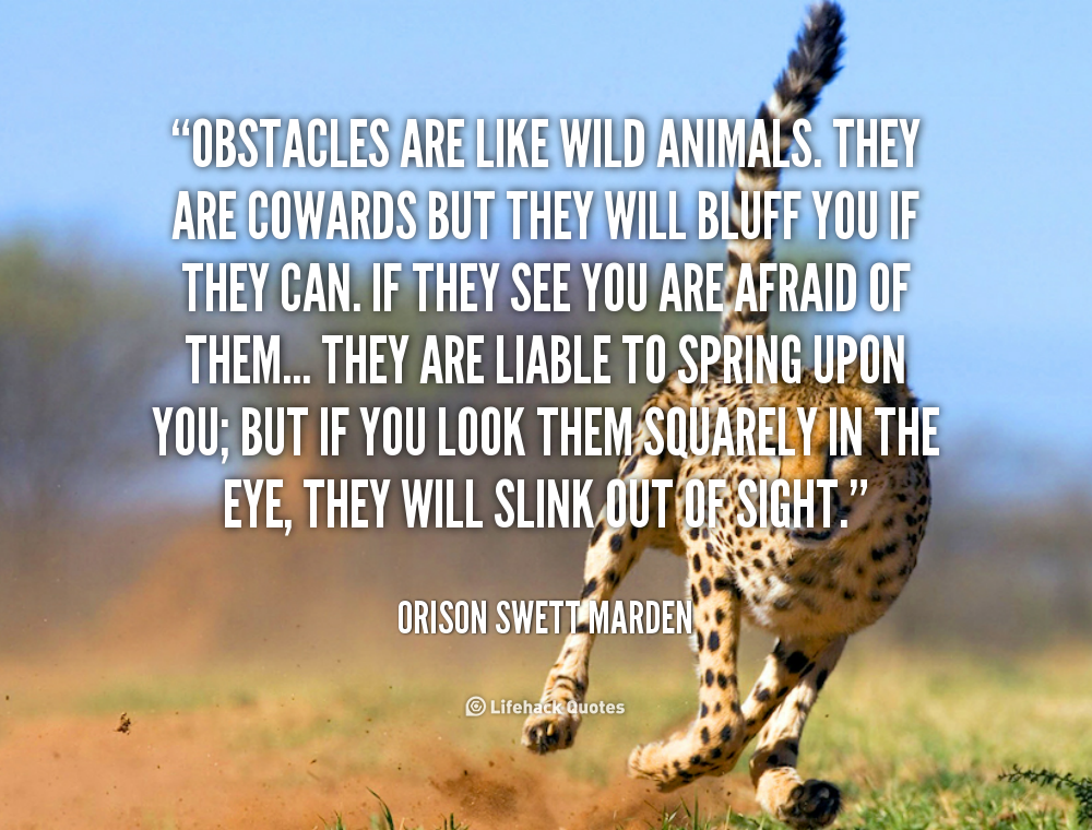 Wild Animal Quotes. QuotesGram