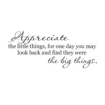Appreciate The Little Things Quotes. Quotesgram