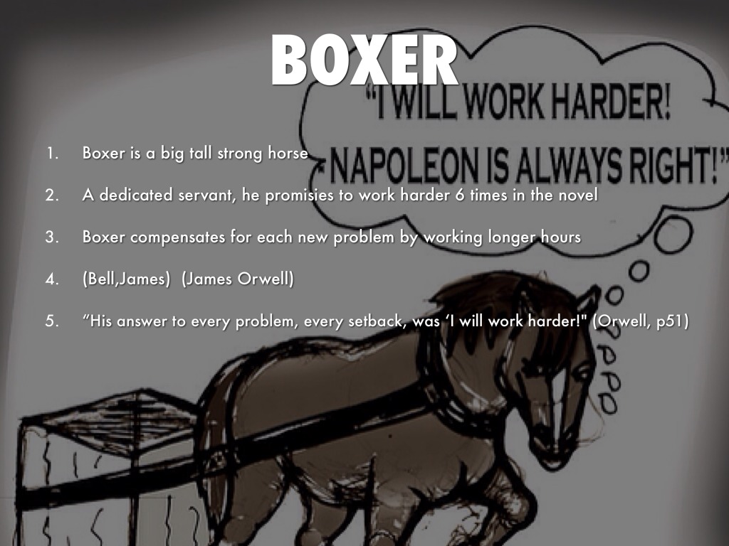 Quotes About Animal Farm Boxer QuotesGram
