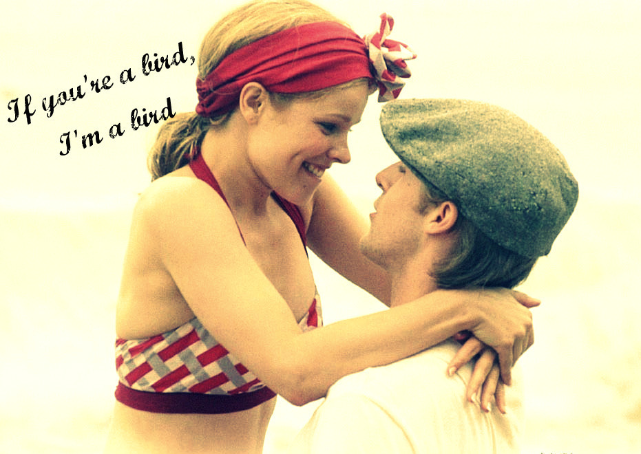 Quotes From The Notebook Allie. QuotesGram