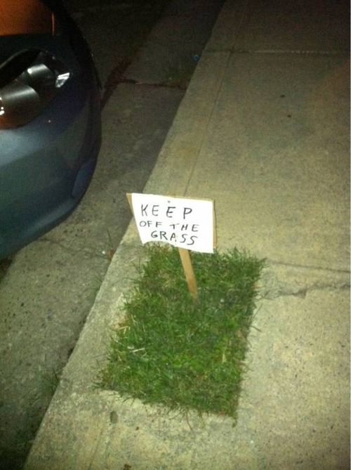 Funny Quotes About Grass. QuotesGram