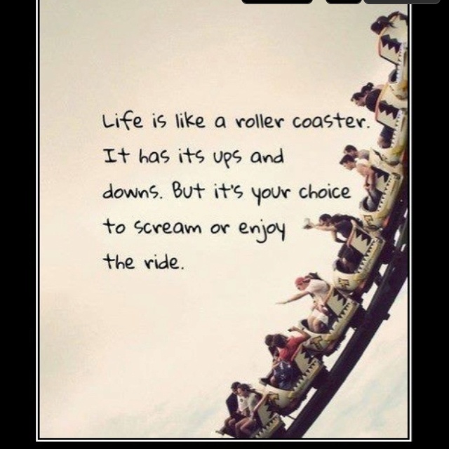 Quotes About Enjoying The Ride