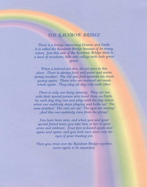 Rainbow Poems And Quotes Quotesgram