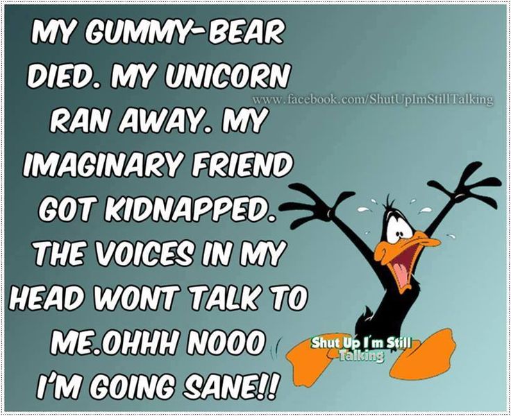 Funny Bug Quotes. QuotesGram