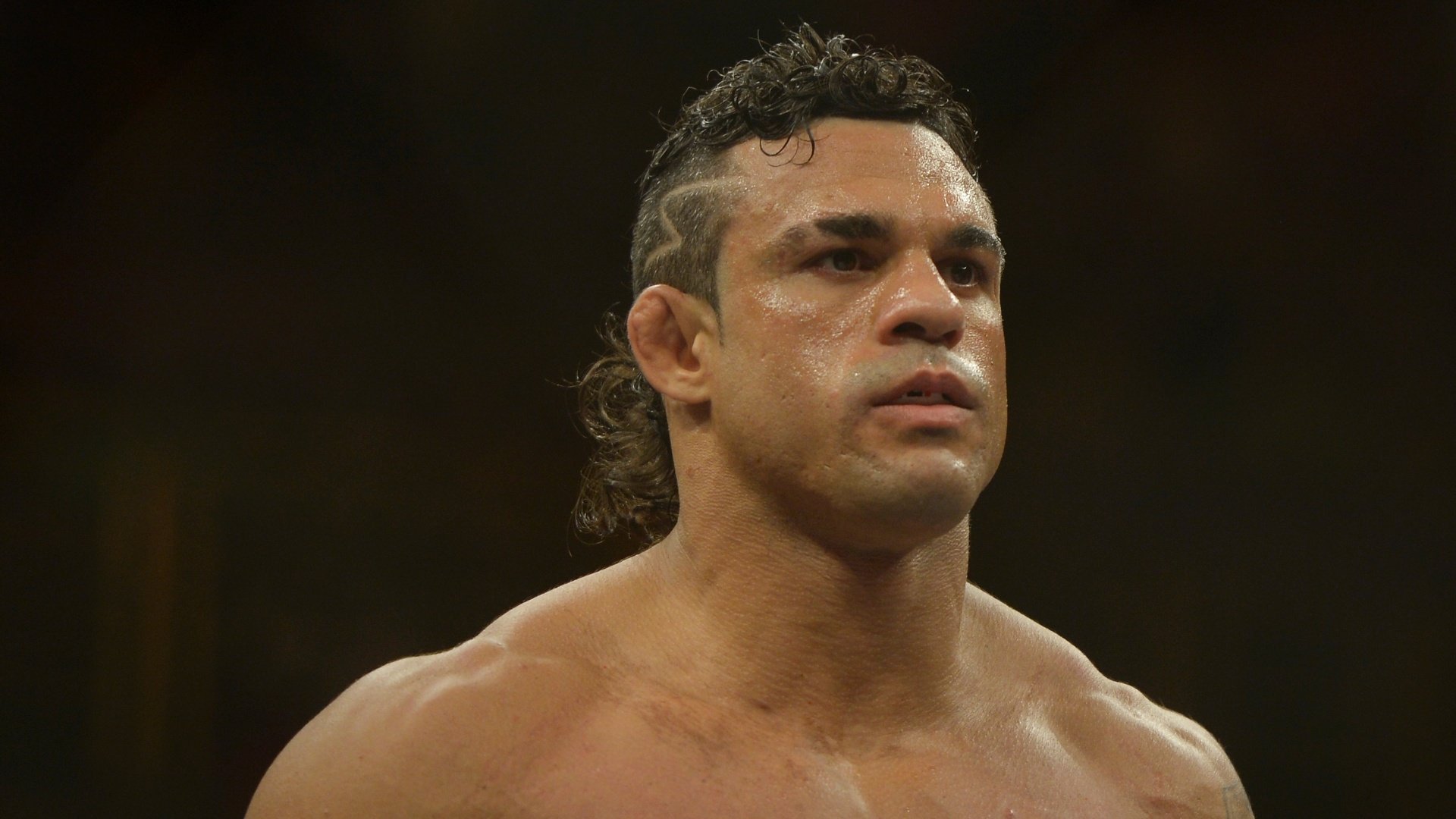 Vitor Belfort Quotes. QuotesGram