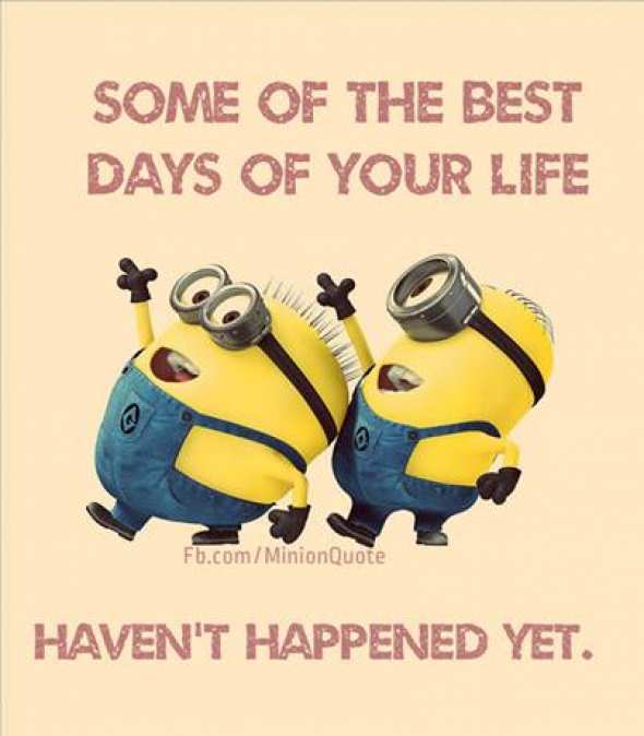 minion sayings about life minion sayings about life