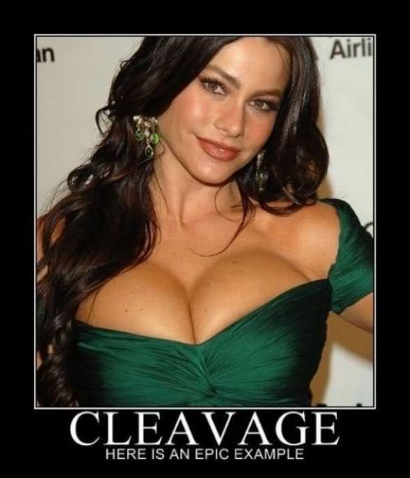 Cleavage Quotes.