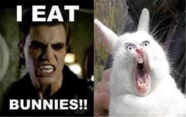 Funny Vampire Diaries Quotes Stefan Quotesgram Funny Vampire Diaries Quotes Stefan Quotesgram