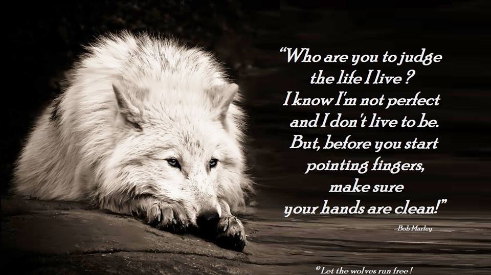 Wolf Poems And Quotes. QuotesGram