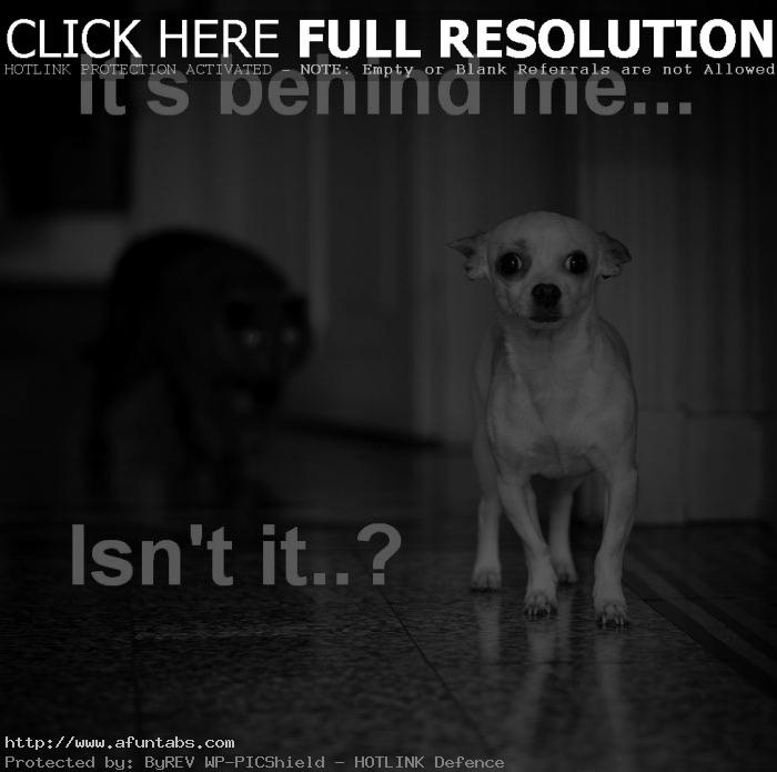 Scary Fun Quotes. QuotesGram