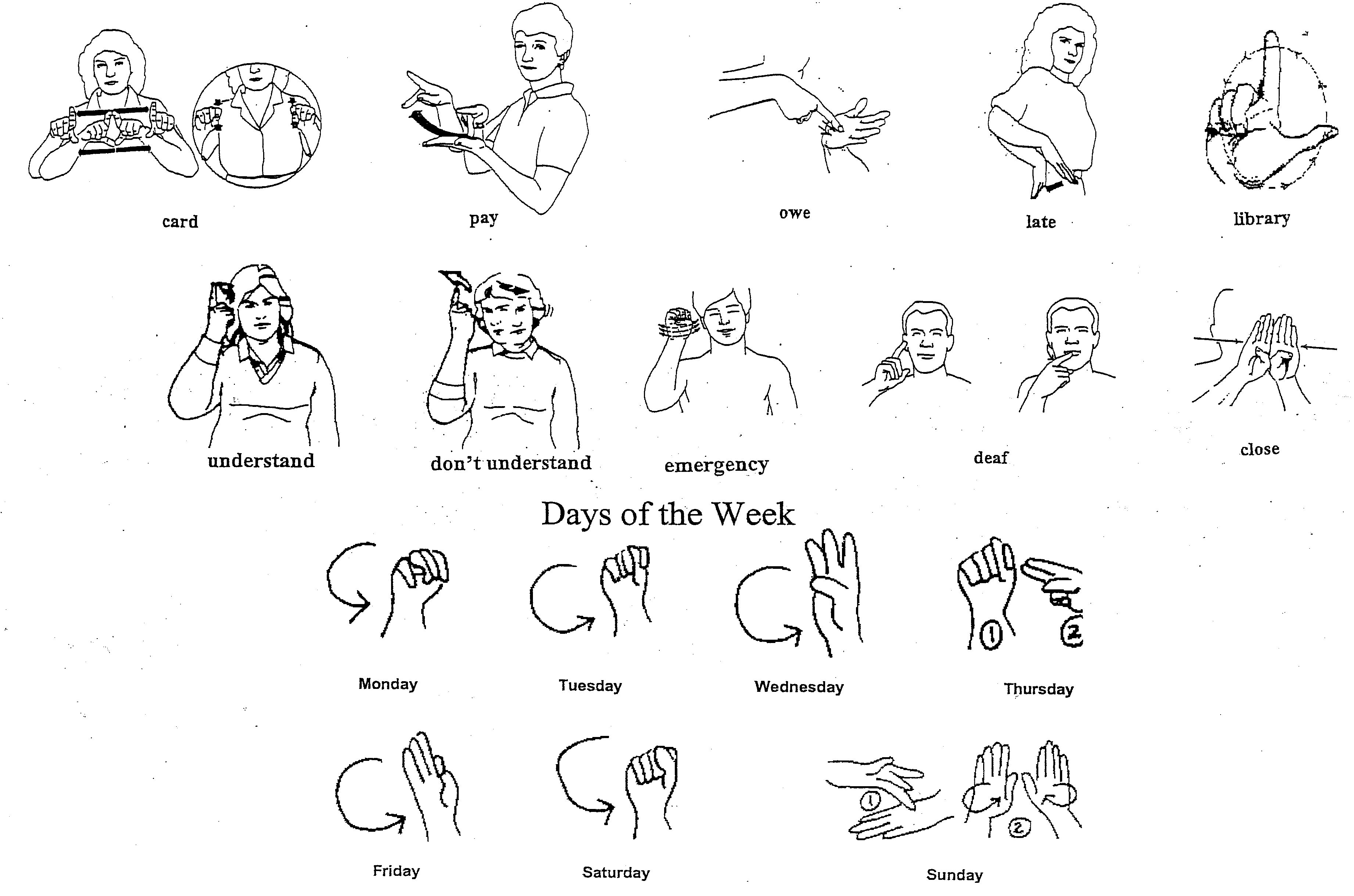 What Sign Language Is Used In America – Buy american sign language poster common words