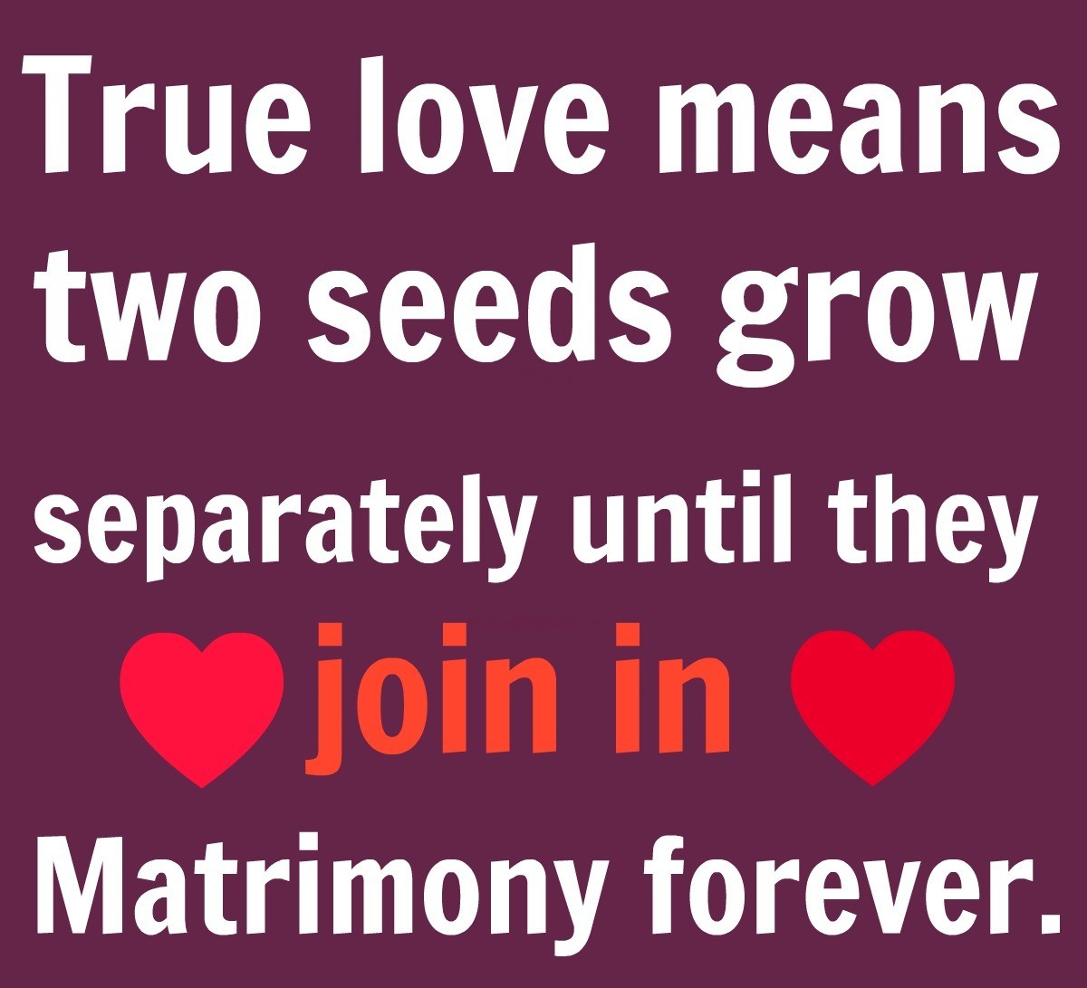 download my true love quotes for her download my true love quotes for her