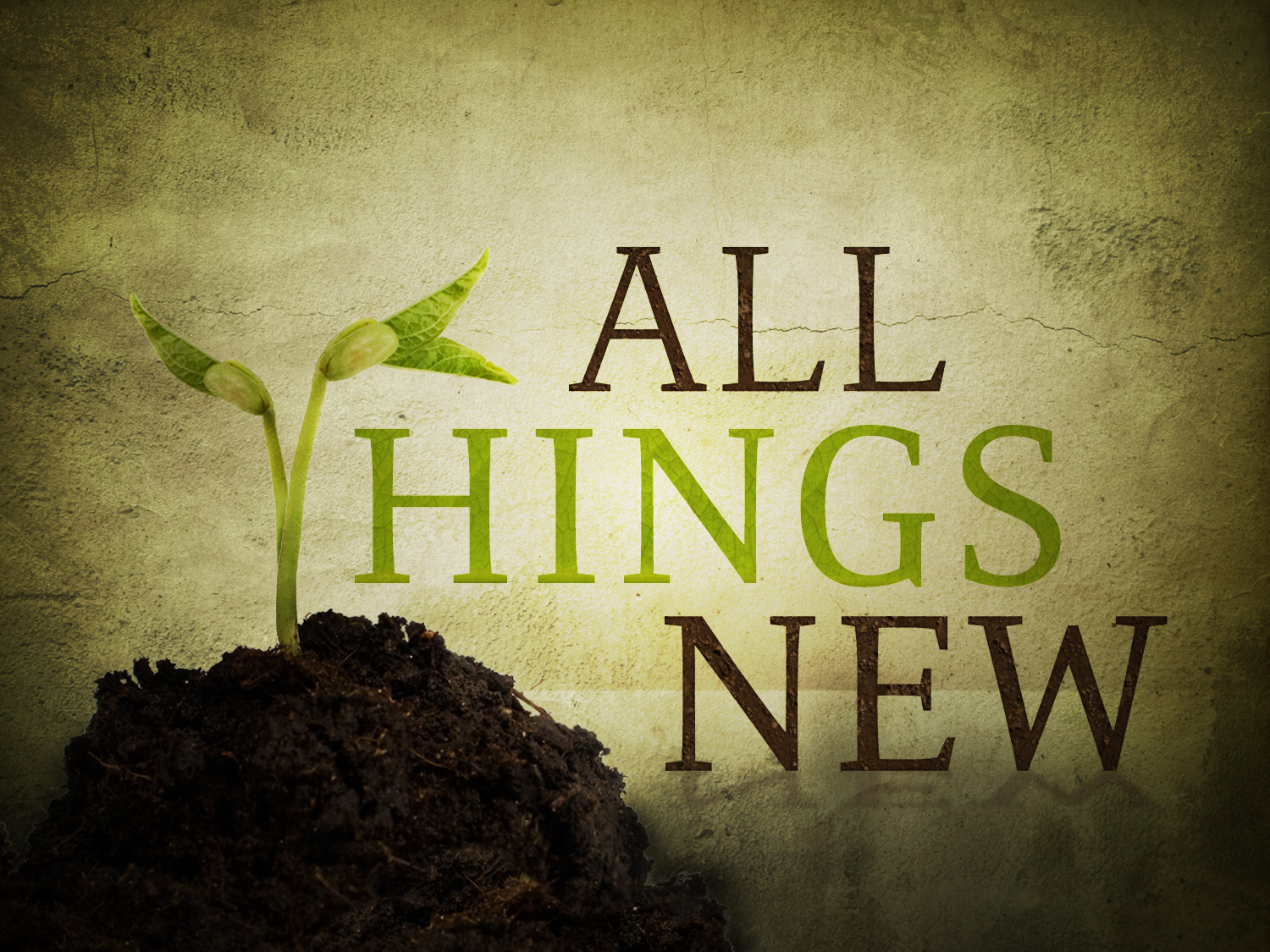 New Things To Come Quotes QuotesGram new-things-to-come-quotes-quotesgram