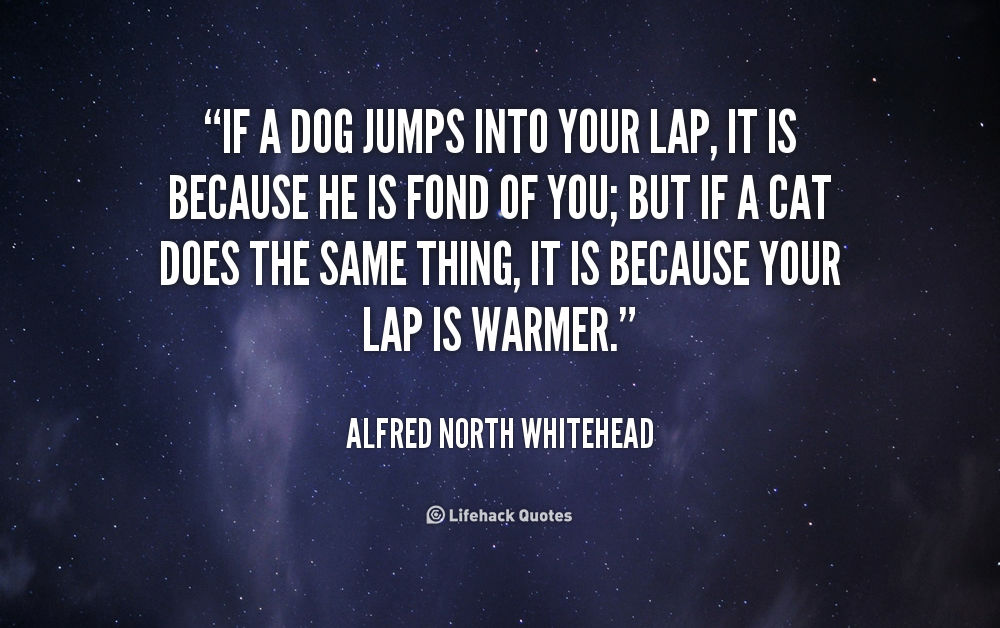 Quotes About Jumping Into Life. QuotesGram