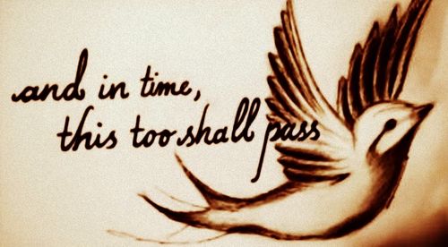 Birds And Quotes On Life. QuotesGram