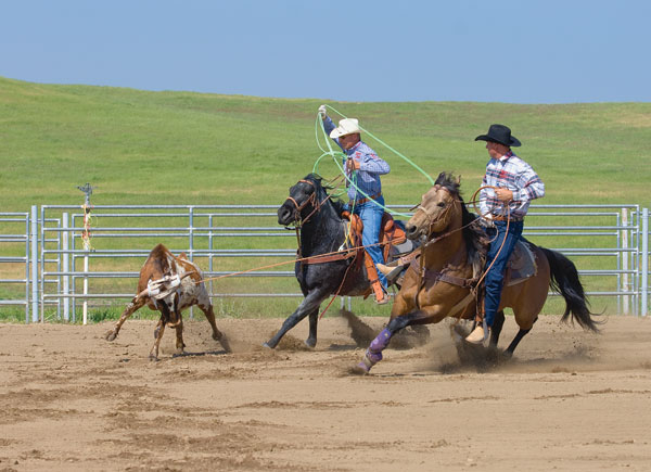 breakaway roping for beginners breakaway roping for beginners