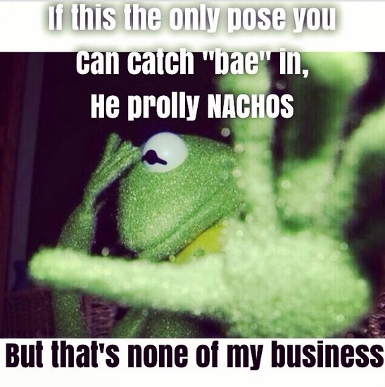 Kermit Instagram Quotes. QuotesGram Kermit Instagram Quotes. QuotesGram