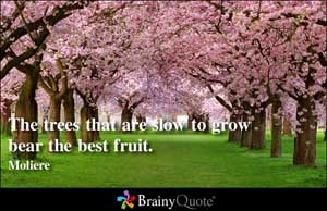 Beauty Quotes Of The Trees. QuotesGram