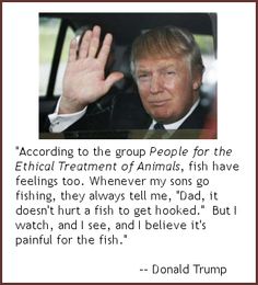 Vegan Quotes From Famous People QuotesGram Vegan Quotes From Famous People QuotesGram