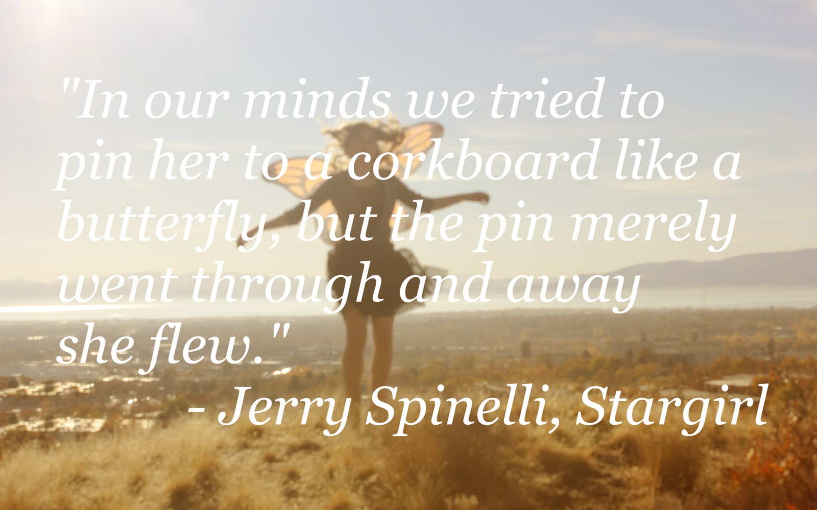 stargirl jerry spinelli book