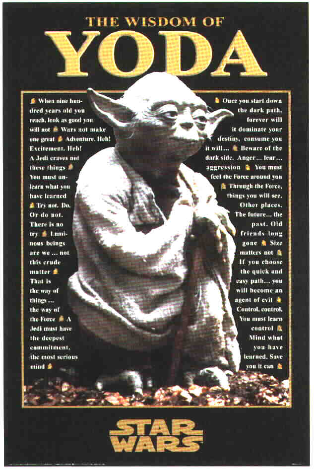 Funny Yoda Quotes Of Wisdom. QuotesGram