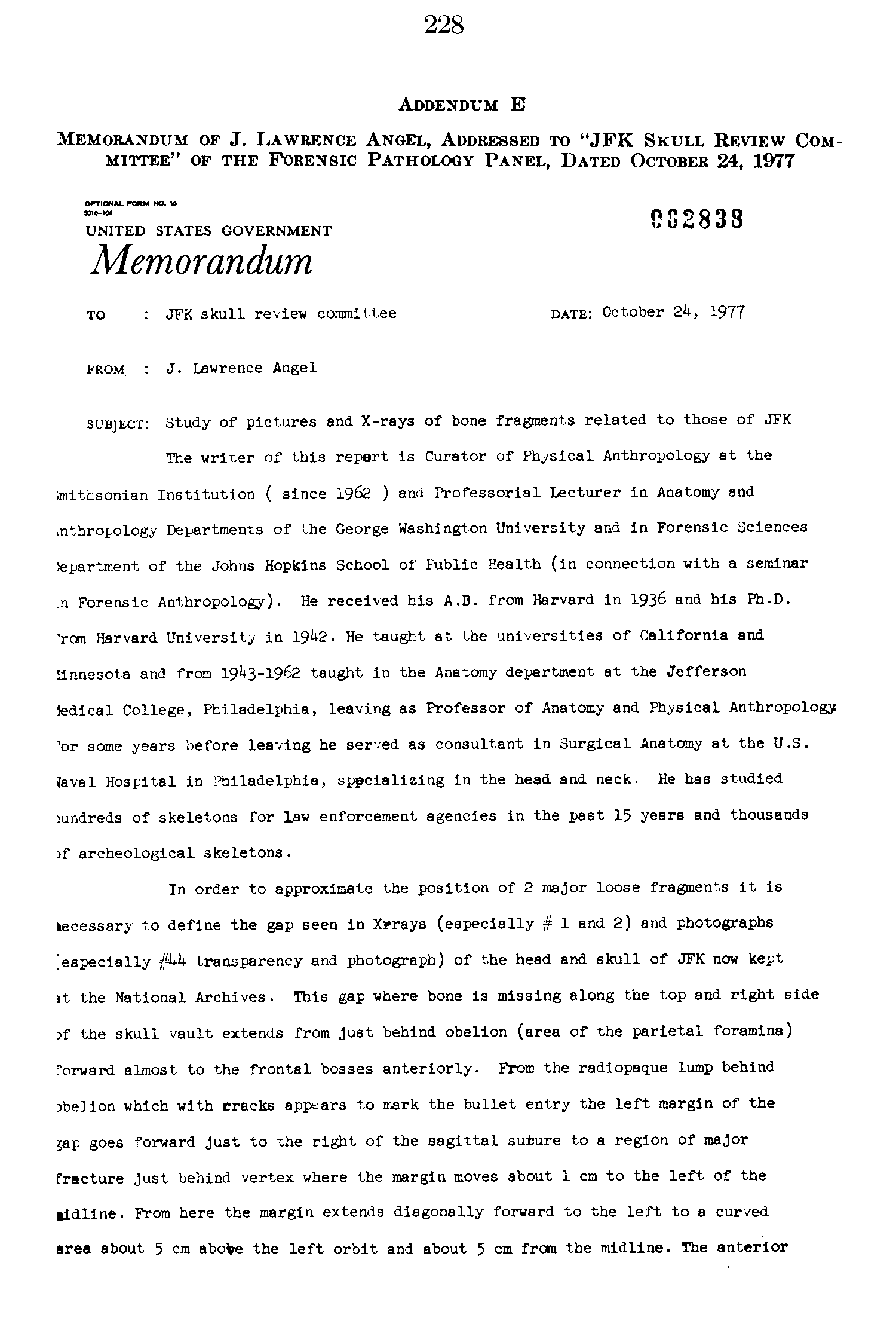 Expert essay