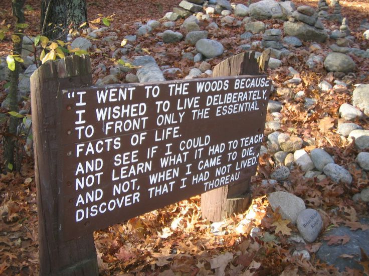 Thoreau Quotes Marrow Quotesgram