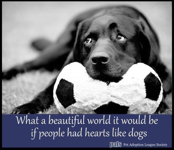 Ella Enchanted Quotes. QuotesGram