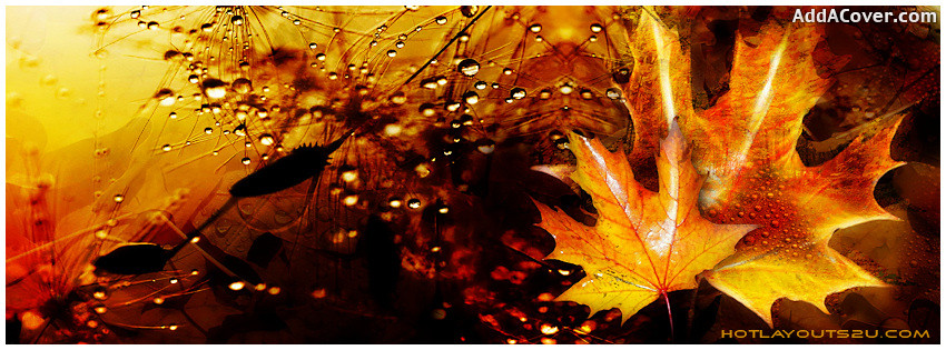 Autumn Facebook Cover Quotes Quotesgram Autumn Facebook Cover Quotes Quotesgram