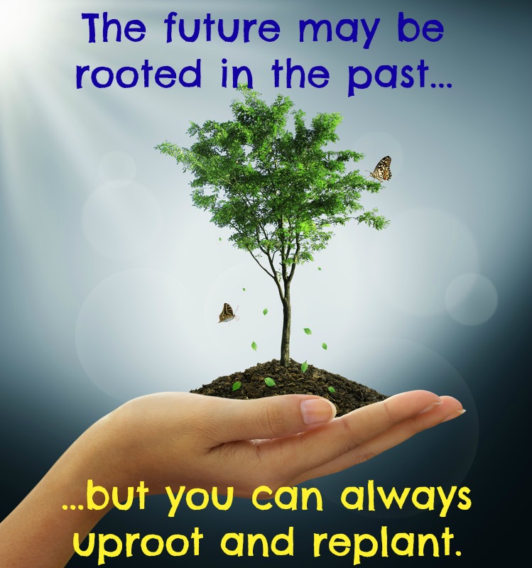 Uprooted Quotes. QuotesGram