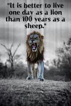 Leo The Lion Pride Quotes. QuotesGram