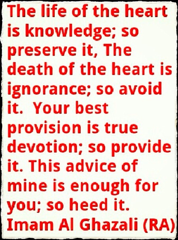 al ghazali life Al ghazali quotes in hindi 1 provides list of popular al ghazali quotes, famous quotes, love quotes, author quotes, event quotes, funny quotes, inspirational quotes, success quotes, life quotes, quote of the day and a lot of more. al ghazali life Al ghazali quotes in hindi 1 provides list of popular al ghazali quotes, famous quotes, love quotes, author quotes, event quotes, funny quotes, inspirational quotes, success quotes, life quotes, quote of the day and a lot of more.