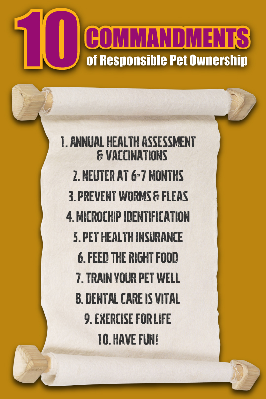 pet-owner-quotes-quotesgram