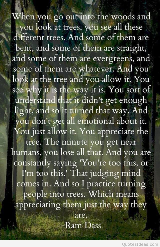 Zen To Zany Quotes. QuotesGram