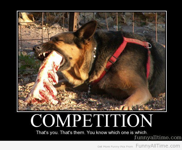 Funny Competition Quotes. QuotesGram