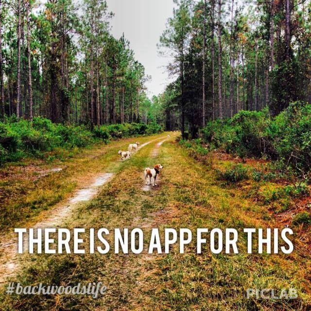 Hunting Dog Quotes Quotesgram Hunting Dog Quotes Quotesgram