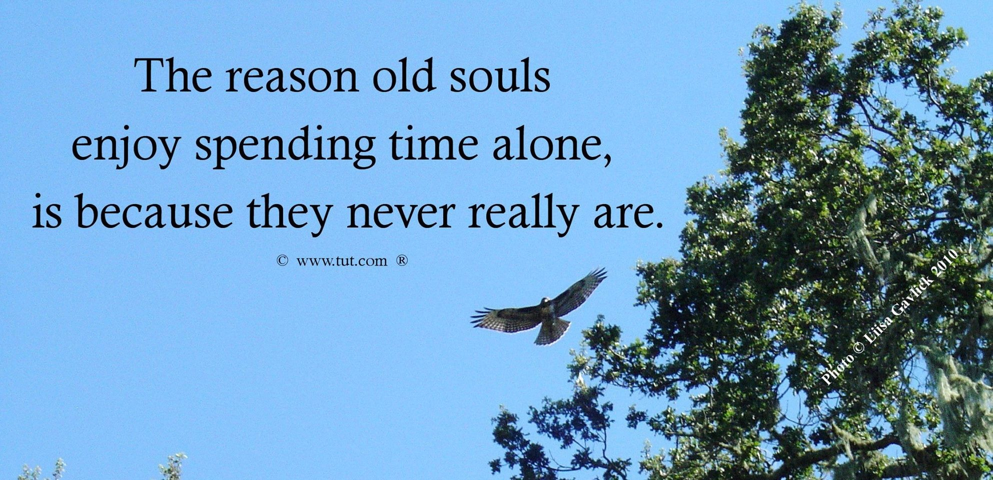 Native American Healing Quotes. QuotesGram