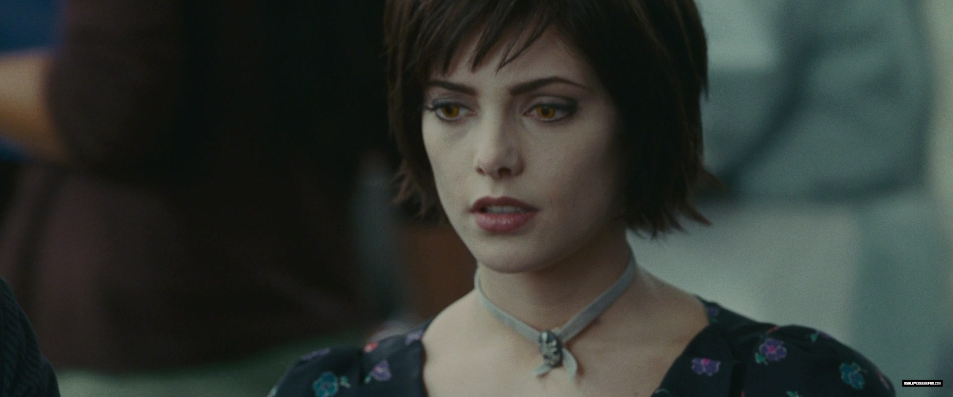Alice Cullen Twilight Quotes Quotesgram