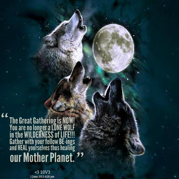 The great gathering. Wolf quotes. Волки любовь с текстом. Волк Love you. Lone Wolf - мечты.