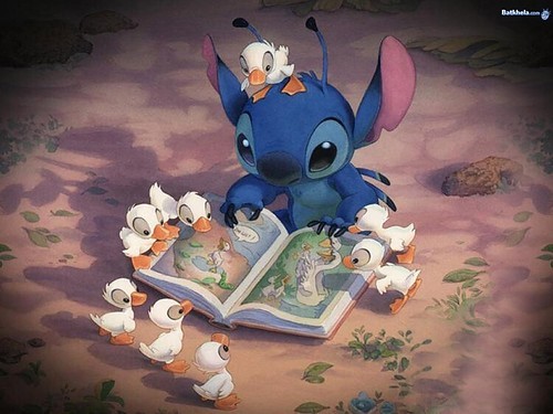Disney Quotes Cute Wallpapers Quotesgram Best hd wildlife photos from national geographics, animal planet and professional photographers. disney quotes cute wallpapers quotesgram