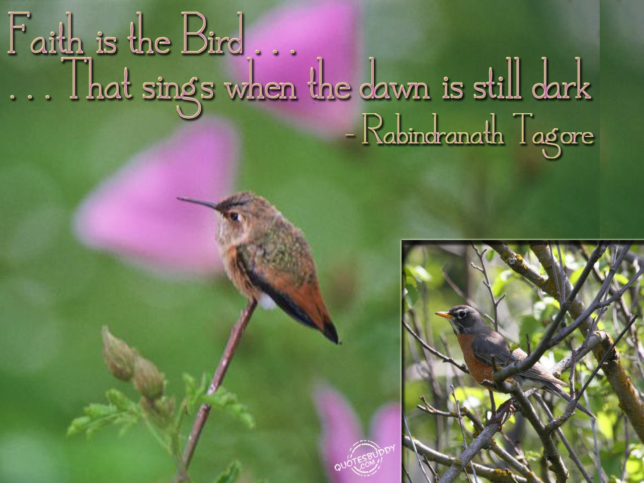 late bird saying