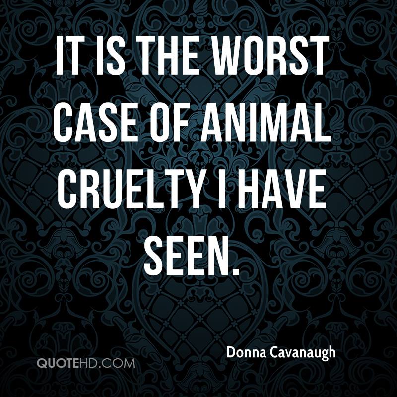 Animal Cruelty Quotes QuotesGram