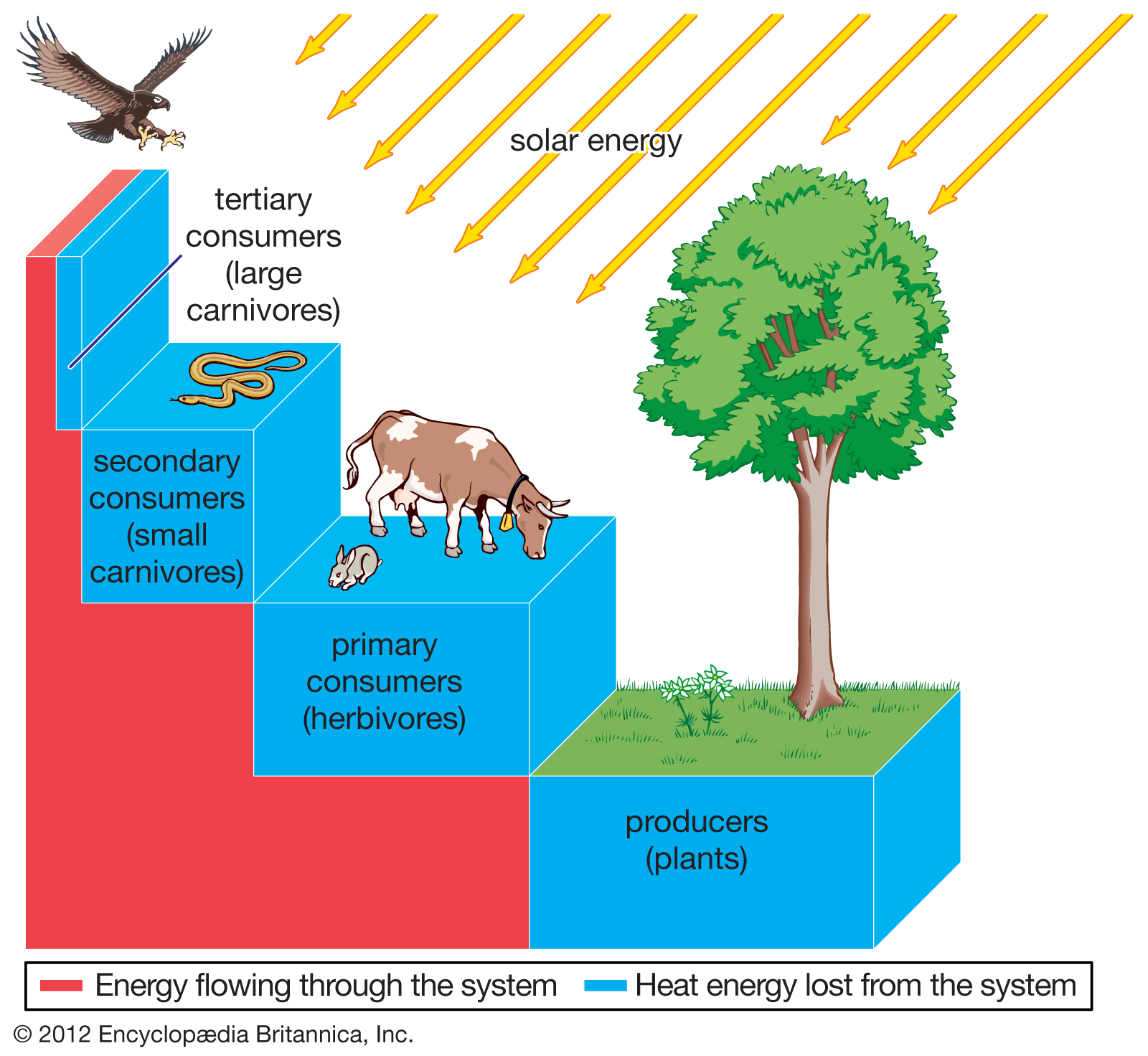 Ecosystems Quotes QuotesGram Ecosystems Quotes QuotesGram
