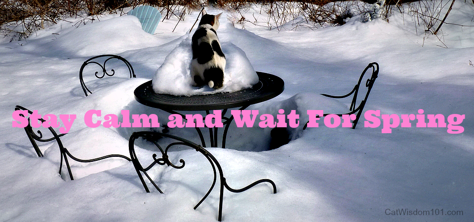 wallpapers Humor Snow In Spring Quotes spring snow funny quotes quotesgram