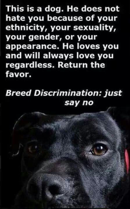 Ending Discrimination Quotes. QuotesGram