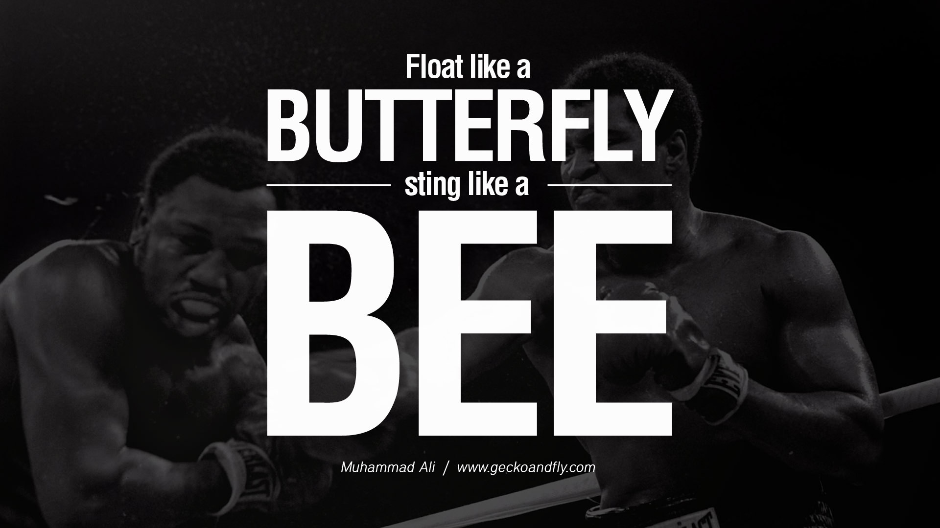 Fligh Like A Butterfly Muhammad Ali Quotes Quotesgram