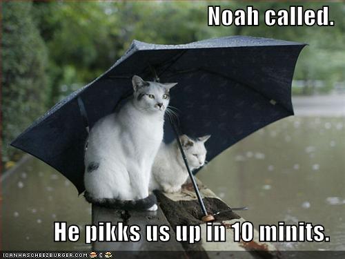 Funny Quotes About Floods. QuotesGram