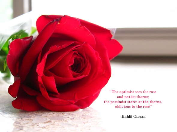 Quotes About Red Roses. QuotesGram