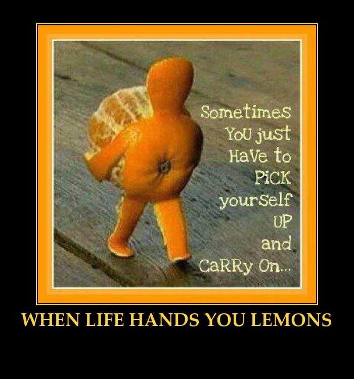Funny Quotes About Life QuotesGram
